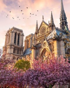 Собор Парижской Богоматери фото в цветах 