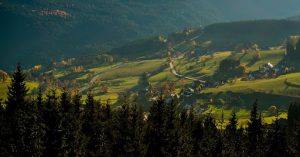 Чёрный лес (находится в регионе Шварцвальд)