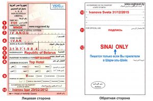 Как выглядит сертификат о прививке против коронавируса для международных поездок в Египет?