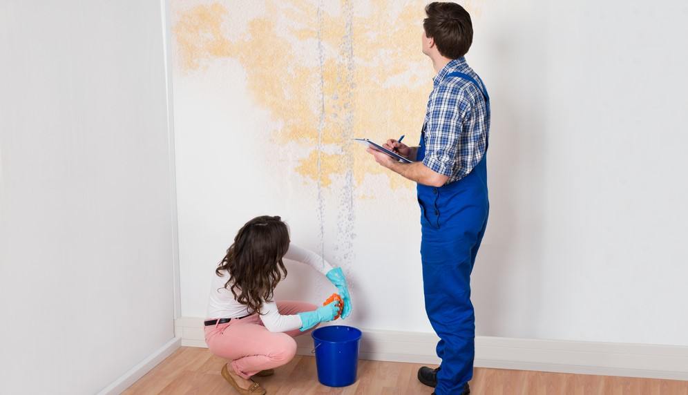 Как застраховать квартиру: условия и цены в 2021 году