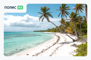 открытые страны 2026