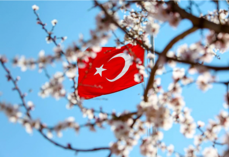 правила въезда в Турцию лето 2022