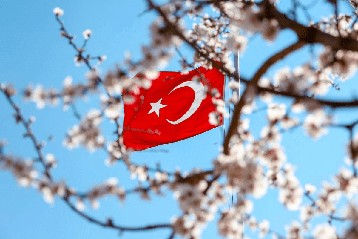 правила въезда в Турцию лето 2022