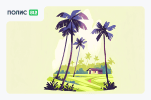 страховка 2026