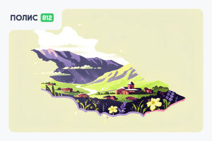 страховка в грузию