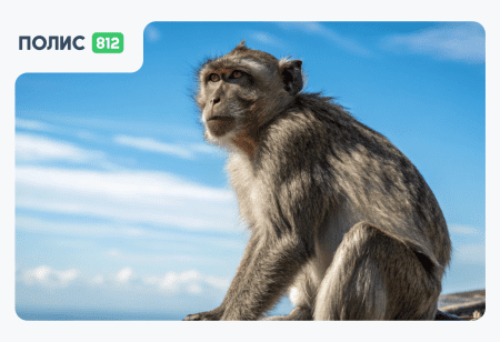 Роспотребнадзор 2026 - заболевания туристов