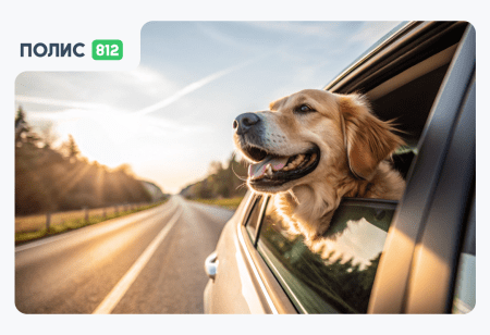 в беларусь с собакой