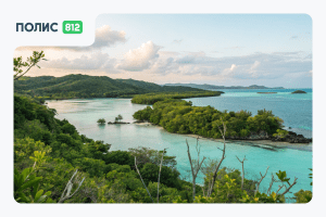 Международная страховка для путешествий: зачем нужна и как выбрать