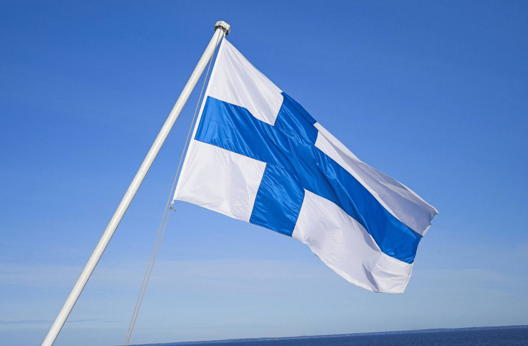 сроки финская виза